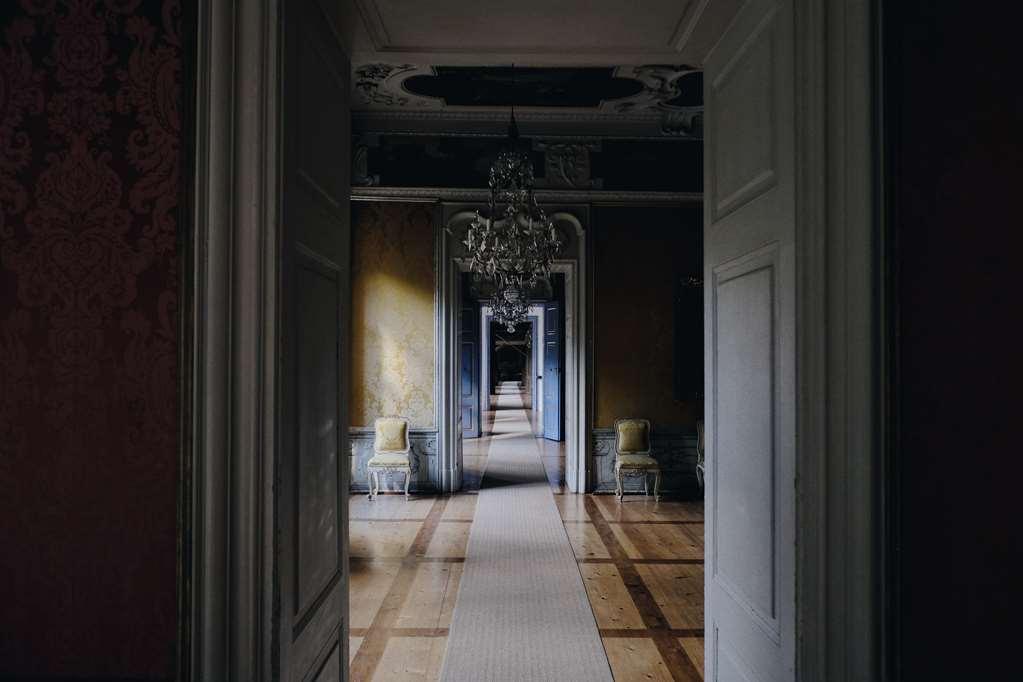 Отель Domaine De La Courbe Le Lude Удобства фото